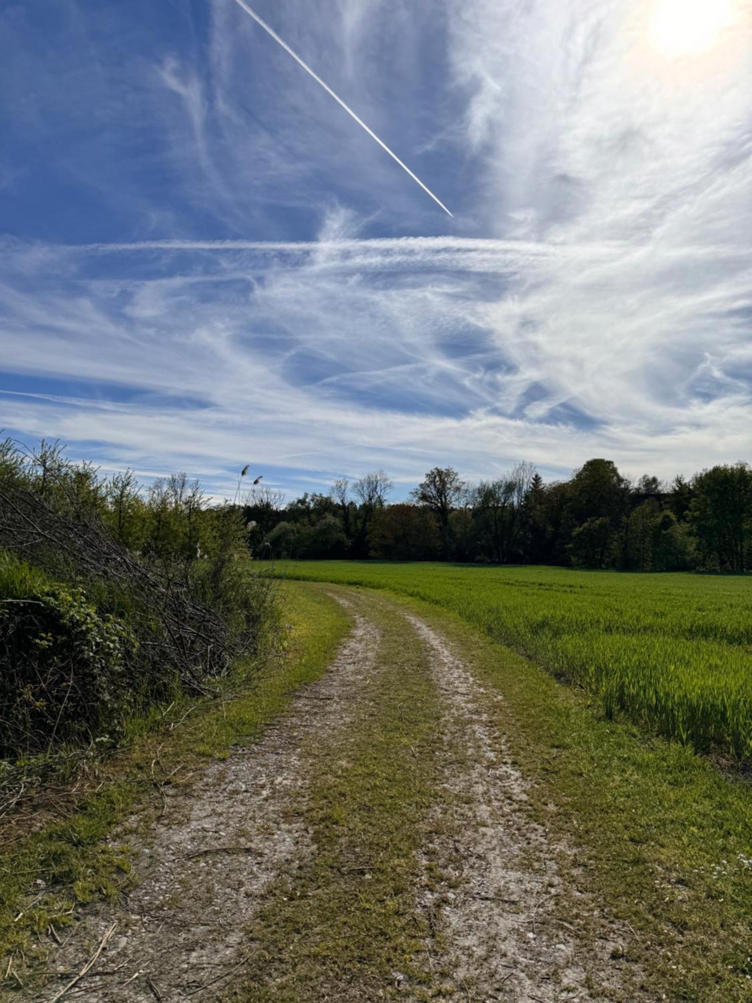 Am Flussgarten Eriskirch Exteriör bild