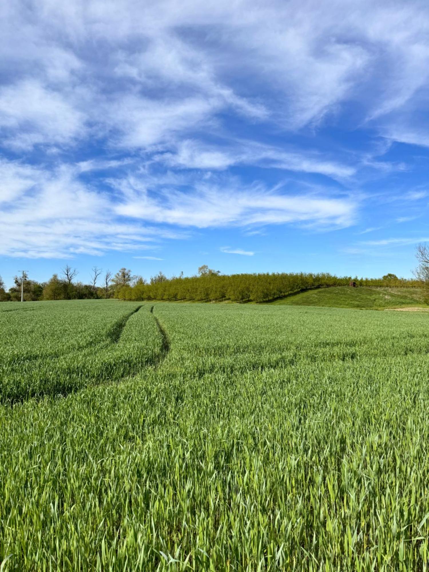 Am Flussgarten Eriskirch Exteriör bild