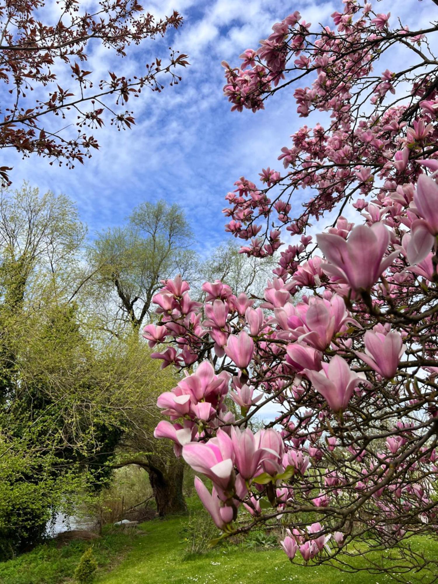 Am Flussgarten Eriskirch Exteriör bild