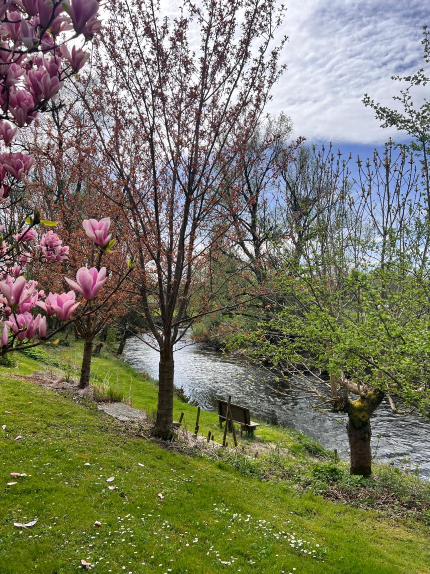 Am Flussgarten Eriskirch Exteriör bild
