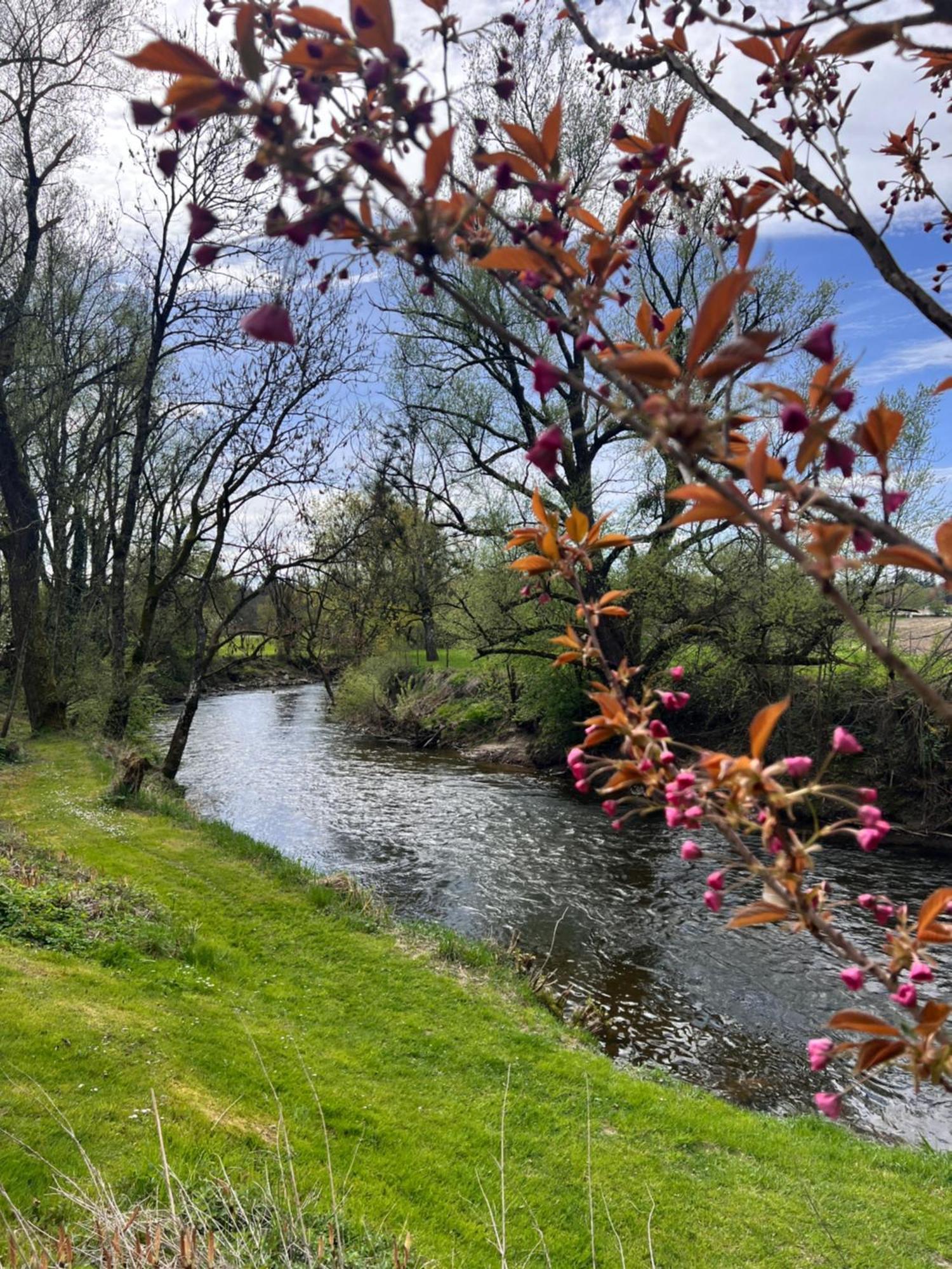 Am Flussgarten Eriskirch Exteriör bild
