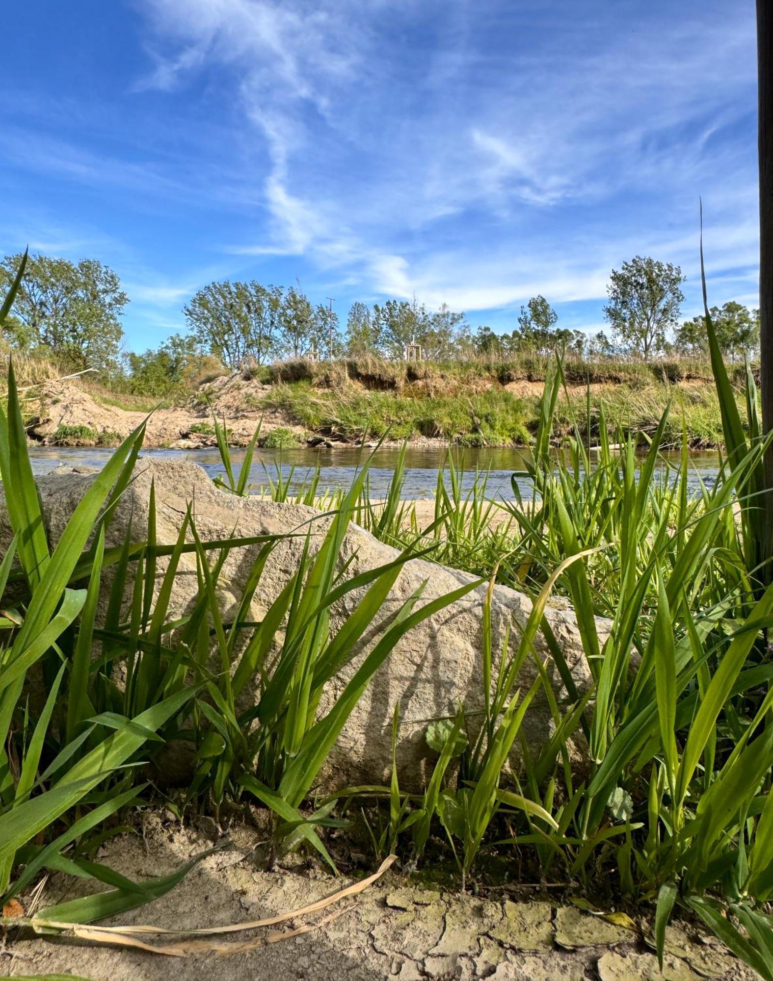Am Flussgarten Eriskirch Exteriör bild